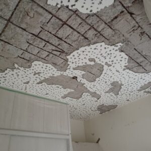 新竹楠雅街頂板碳纖維補強工程 施作前